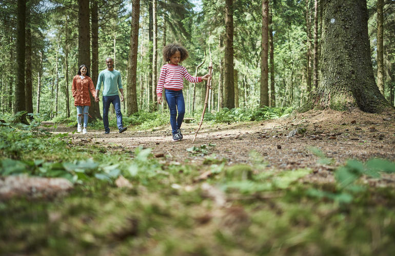 Family walking through the forest