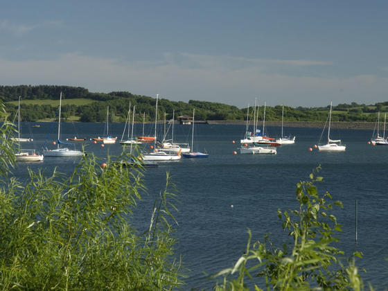 Sailing boats on Carsington Reservoir