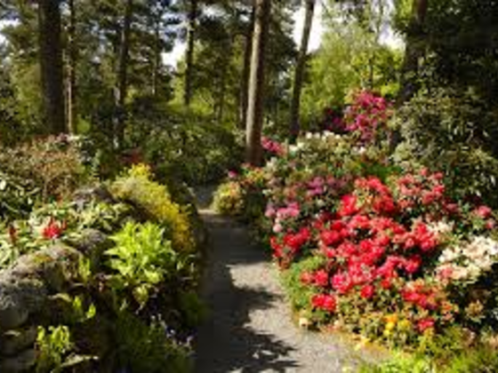 Summer cascade of flowers in Lea Gardens